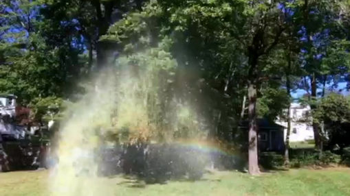 Bubbles
